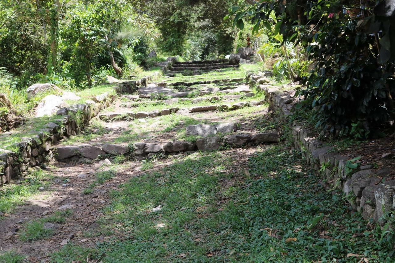 Llactapata Lodge Overlooking Machu Picchu - Camping - Restaurant Salcantay Exterior foto