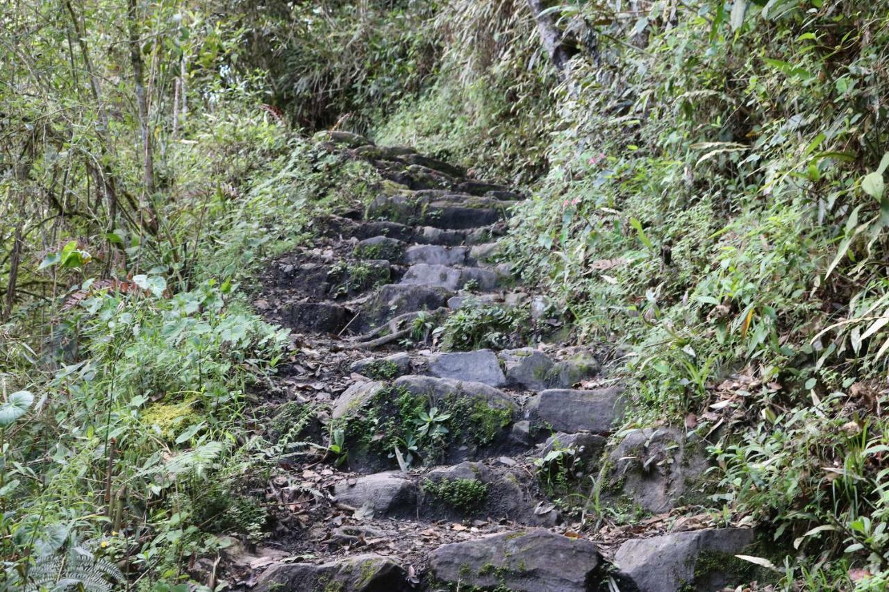 Llactapata Lodge Overlooking Machu Picchu - Camping - Restaurant Salcantay Exterior foto