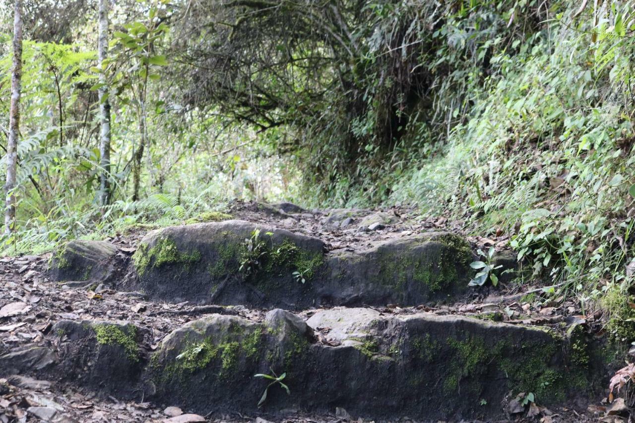 Llactapata Lodge Overlooking Machu Picchu - Camping - Restaurant Salcantay Exterior foto